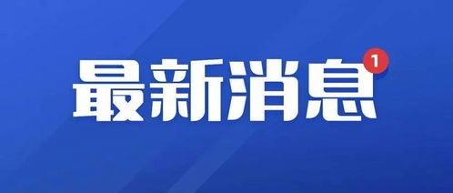 山东首个辅评标场所运行初显成效,公共资源交易转型升级在路上